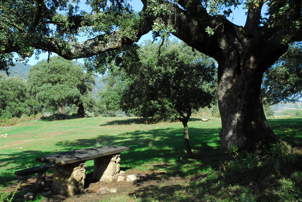 hiking routes with children Málaga