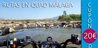 Vis la facette la plus sauvage de Málaga avec Quad Aventura Costa del Sol : nature, moteur et sensations fortes