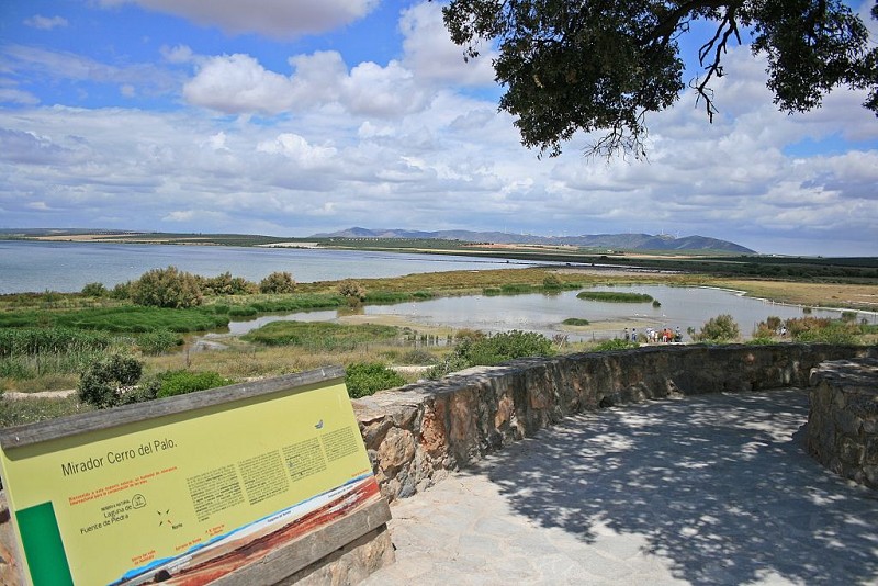 Mirador Cerro del Palo,Laguna Fuente de Piedra