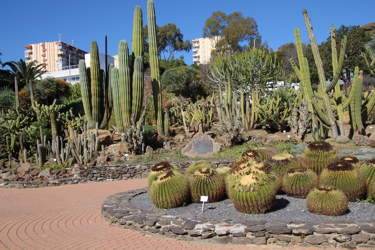 Jardín de los Cactus, Parque de la Paloma, Benalmádena, Málaga