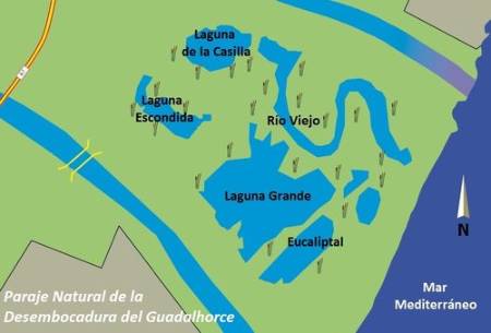 5 Lagunas de la Desembocadura del Guadalhorce