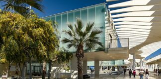 Palmeral de las Sorpresas de Málaga: Un Rincón Tranquilo Junto al Mar